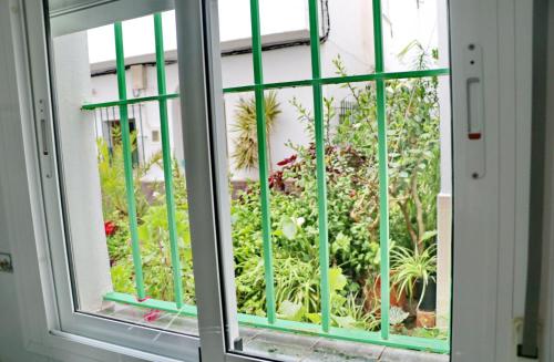 Apartamento Brezo