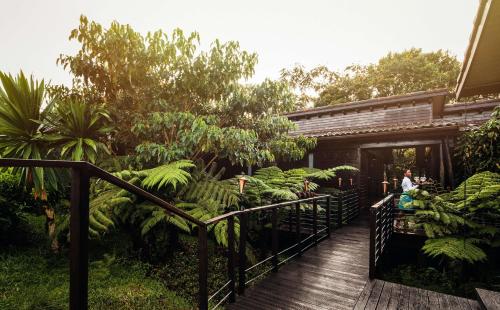 une passerelle en bois menant à une maison avec une bande de bananes dans l'établissement One&Only Nyungwe House, à Rwumba