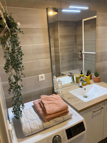 uma casa de banho com um lavatório e um chuveiro em Sérénité totale : appartement ensoleillé em Clichy