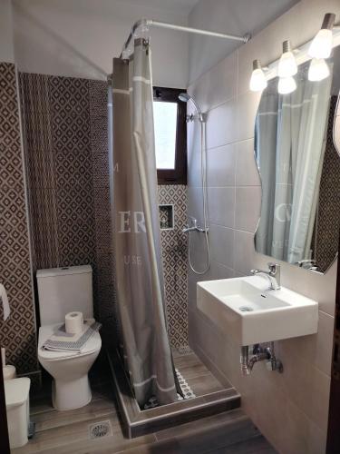a bathroom with a shower and a sink and a toilet at Iliahtida Apartments in Rovies