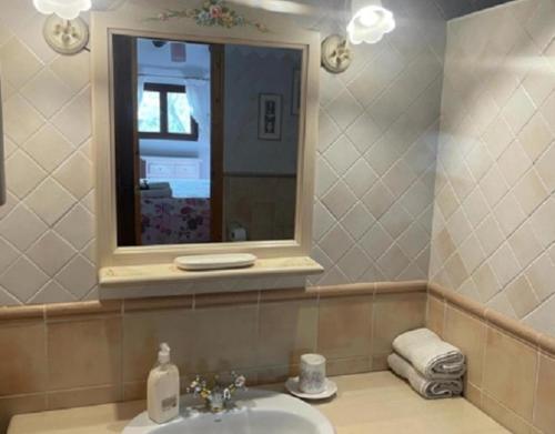 een badkamer met een wastafel en een spiegel bij Can Wancho in Botarell