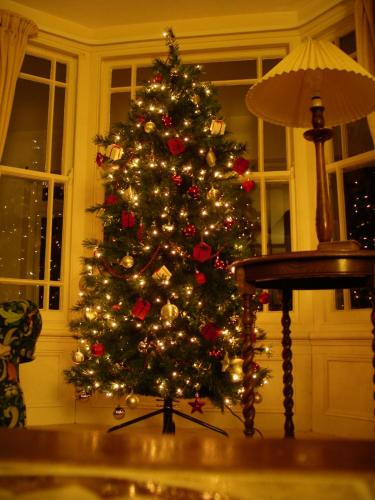 a christmas tree with lights in a room with a table at Spacious seaside family house in Aberdaron with large garden and stunning sea views in Aberdaron