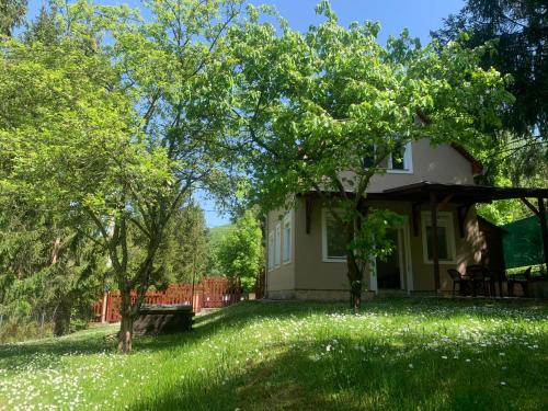 a house with a yard with grass and trees at Mazsola in Bélapátfalva