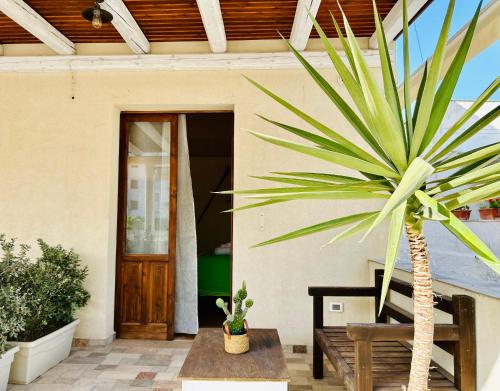 a palm tree in front of a house at Alencio Comfort Urbano in Favignana