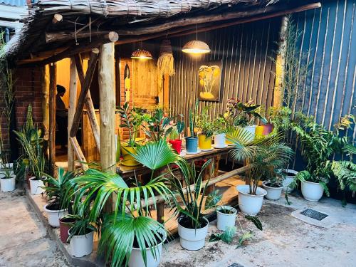 Zahrada ubytování Swahili Villa