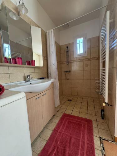 une salle de bain avec un lavabo, une douche et un miroir dans l'établissement entre mer et campagne, au Beausset