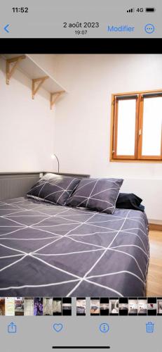 une chambre avec un lit avec une couette bleue dans l'établissement Studio Face à L’Île Barbe, à Caluire-et-Cuire