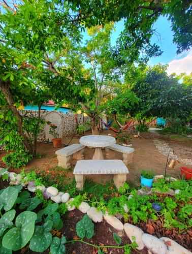 a stone bench sitting under a tree in a garden at Green's Palace Jamaica in Oracabessa