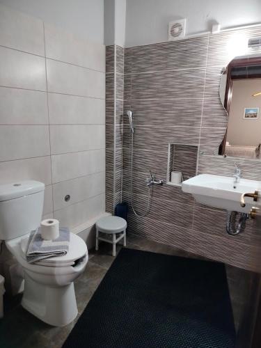a bathroom with a toilet and a sink at Iliahtida Apartments in Rovies