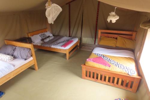 a room with two beds in a tent at Orwas maasai Mara safari camp in Kenya in Sekenani