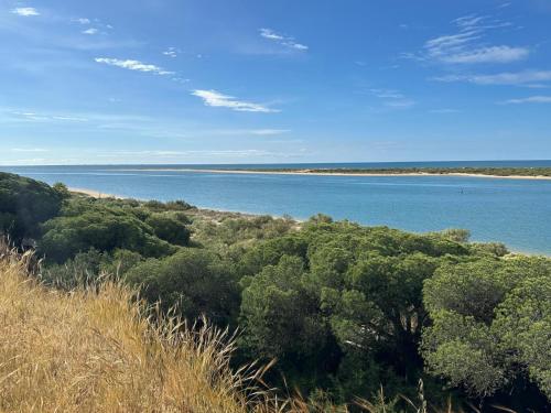 a view of a beach with trees and water at Pinos del Mar in Huelva