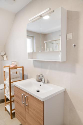 a bathroom with a sink and a mirror at Apartments Naklo in Naklo