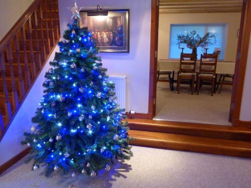 a christmas tree with blue lights in a room at Craigruie Farmhouse in Balquhidder
