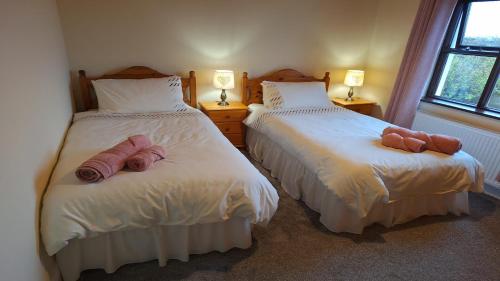 two beds in a room with two brown towels on them at Little Tara, Ballyconneely in Ballyconneely