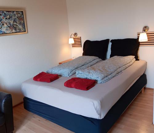 Gallery image of Room near Copenhagen in Ishøj