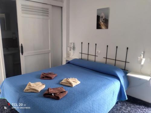 ein Schlafzimmer mit einem blauen Bett mit zwei Handtüchern darauf in der Unterkunft Apartamentos Doña Carmen in Los Silos