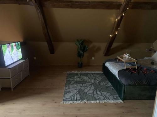 uma sala de estar com um sofá e uma televisão em Les Almadies private Jacuzzi em Villeneuve-les-Sablons