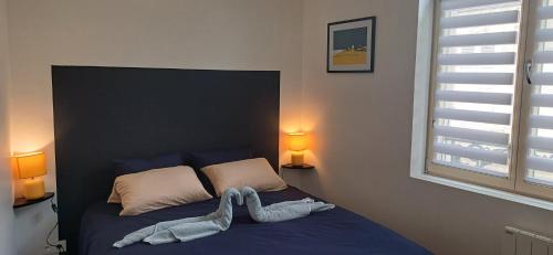 a bedroom with a bed with blue sheets and a window at Élégant 2 chambres, Les Dentellières de la Cathédrale in Troyes