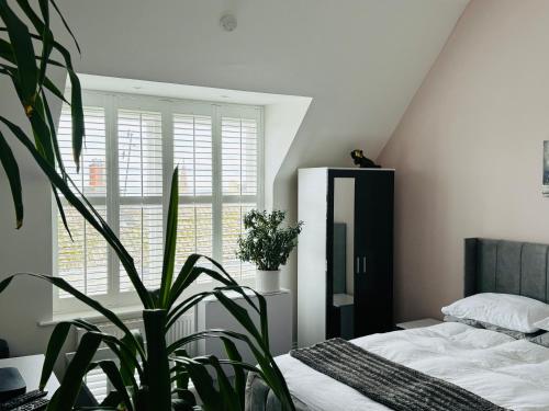 a bedroom with a bed and a potted plant at Penthouse Suite, Central St Leonards, Sea View in St. Leonards
