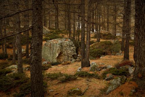 Gallery image of Rifugio Lou Lindal in Canosio