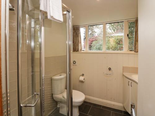 a bathroom with a toilet and a shower and a sink at River Lodge in Ambleside