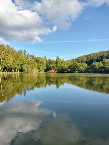 a view of a lake with trees in the background at BnB LES OISEAUX, chez Lidia, 26m2 à 44m2, 2ème étage in Vendlincourt