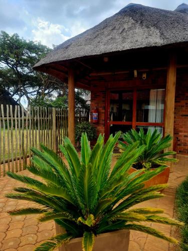 a small hut with a grass roof and a plant at Rocky Aloe Escape in Krugersdorp