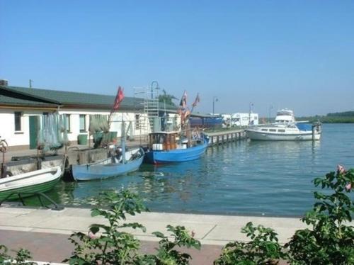 a group of boats are docked at a dock at Wunderschönes Ferienhaus in Altwarp mit Grill in Altwarp