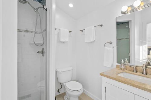 セント・オーガスティンにあるOld Mission Guest Suite - Charming Apartment, 15 Min Walk to Downtown!のトイレ、洗面台、シャワー付きのバスルーム