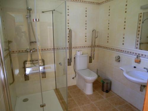 a bathroom with a shower and a toilet and a sink at Pension Rondel in Poděbrady