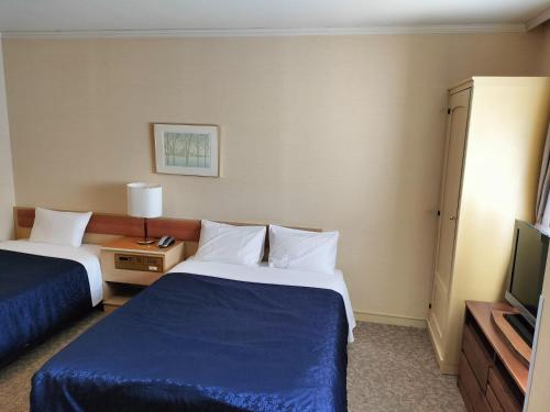 a hotel room with two beds and a television at Asakusa Central Hotel in Tokyo