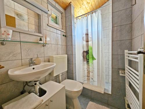 ein Bad mit einem Waschbecken, einem WC und einer Dusche in der Unterkunft Flamingo - House with private pool in Gornji Seget