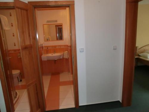 a bathroom with a sink and a mirror at Pension Rondel in Poděbrady