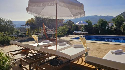 a group of chairs and an umbrella next to a pool at Villa Lolo in Loja