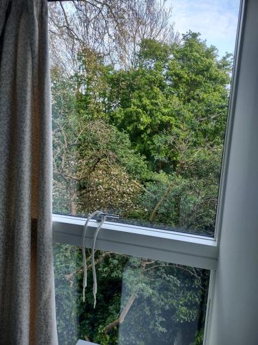 a window with a view of a tree at Modern flat shared with host, park view in Clapton in London