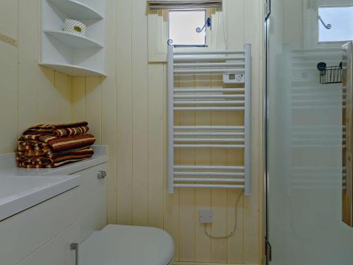 y baño pequeño con aseo y ducha. en 1 Bed in Hoarwithy 93440 en Little Dewchurch