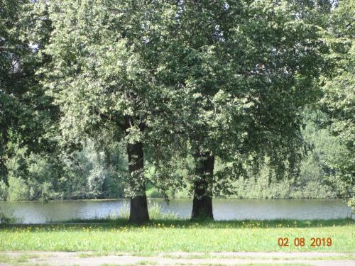 duas árvores em frente a uma massa de água em Budroom em Riga
