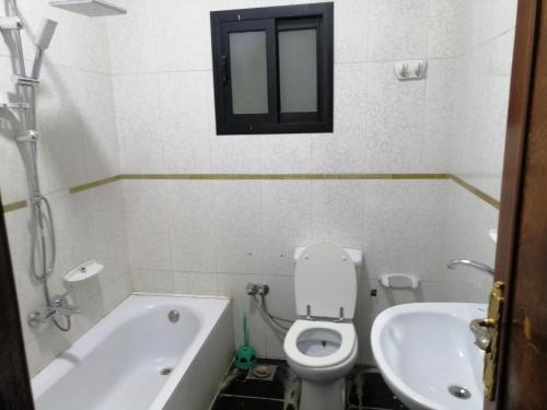 a small bathroom with a toilet and a sink at Nile house in Jazīrat al ‘Awwāmīyah