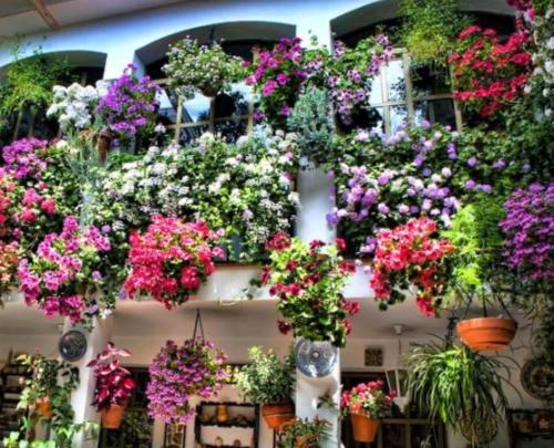 Een tuin van SantaMaria del Realejo