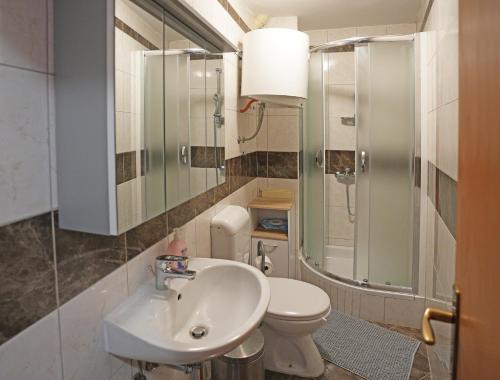 a bathroom with a sink and a toilet at Studio apartment Rimanić in Sveti Lovreč Pazenatički