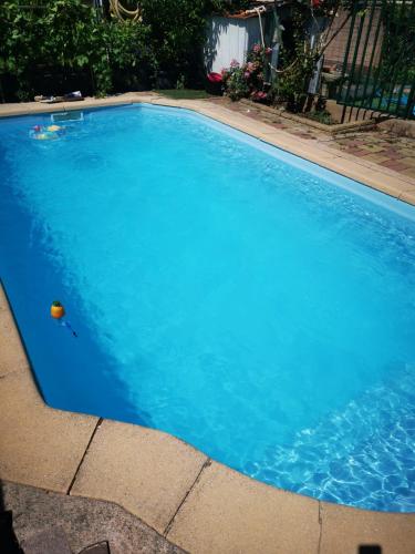 - une grande piscine bleue avec un ballon dans l'établissement Au bonheur partagé, à Avignon