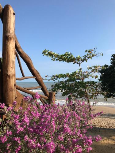 a fence with pink flowers in front of a beach at El Secreto in Dibulla