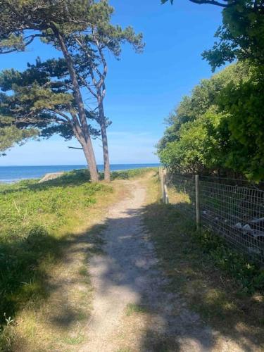 a dirt road next to a tree and the ocean at Korsvirkeslänga in Helsingborg
