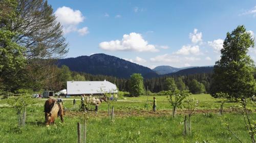 a horse grazing in a field with a barn at La Petite Echelle in Rochejean