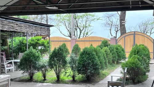 a garden with trees and bushes on a patio at Femyli rooms in Shekvetili