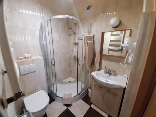 a bathroom with a shower and a toilet and a sink at Pokoje Za Kinem in Duszniki Zdrój