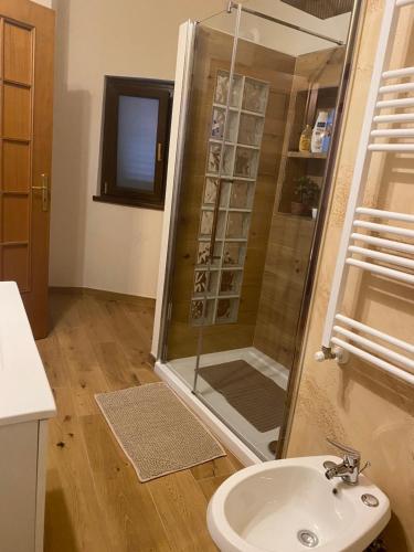 a bathroom with a shower and a sink at appartamento NONNA ROSA in Morano Calabro
