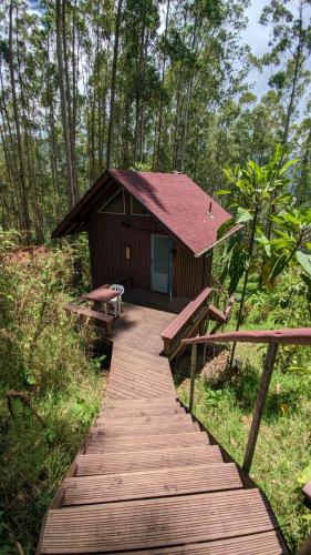 a wooden walkway leading to a cabin in the woods at La Esperanza bird Lodge and Reserve in Jardin