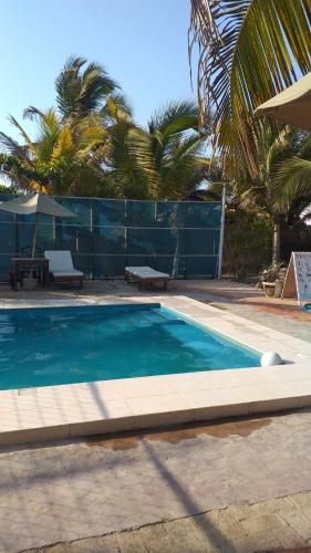a blue swimming pool with two benches and palm trees at Punta Pacífico Bungalows Máncora in Máncora