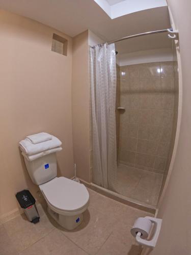 a bathroom with a toilet and a shower at Apartaestudio Norte de Armenia in Armenia